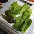 lettuce leaves